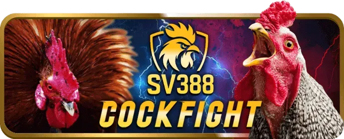 Game Bắn Cá Nàng Tiên Cá bsports